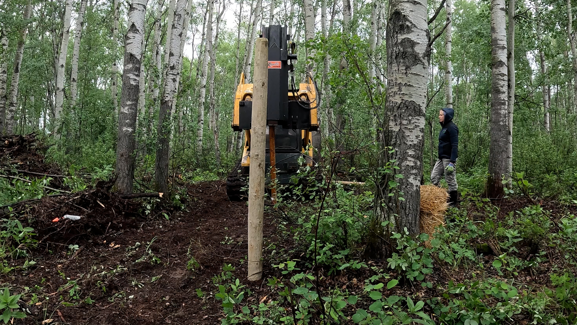 The Pig Pondarosa Extension